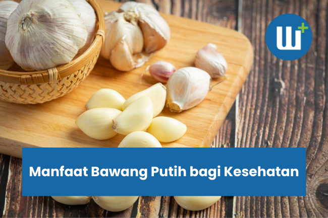 Manfaat Bawang Putih bagi Kesehatan